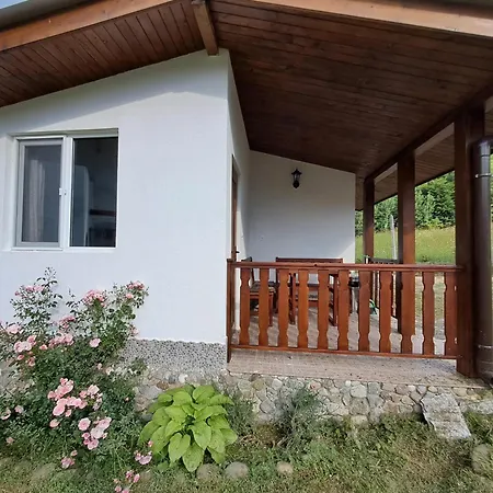 Savayatribe Pensjonat